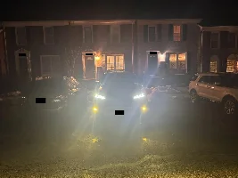 Yellow Fogs?