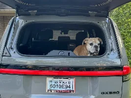 👋 Welcome to the Lexus GX 550 Forum! Please post an introduction thread!