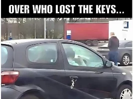 Good Clean Humor and Jokes