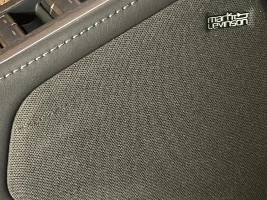 Mark Levinson Speaker Cover Tore