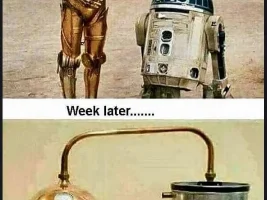 Good Clean Humor and Jokes
