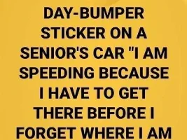 Good Clean Humor and Jokes