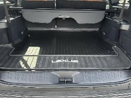 OEM Cargo Mat?