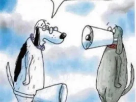 Good Clean Humor and Jokes