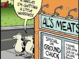 Good Clean Humor and Jokes