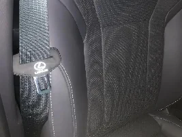 Any idea what could have caused this? Driver’s side door interior