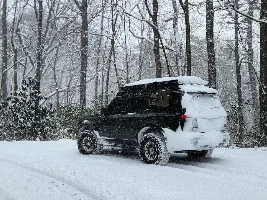 February 2026 - Lexus GX of the Month starts now!