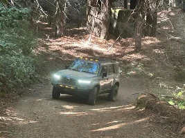 What did you do in your GX today?