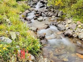 Alpine Loop 2026 - aka - DJ, NoNameX and Emed’s Excellent Adventure - Final Update