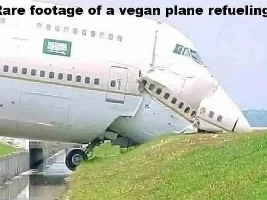 Good Clean Humor and Jokes