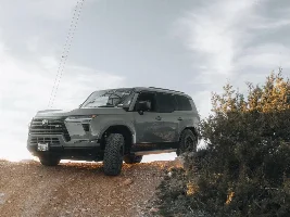 New to this community