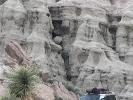 February 2026 - Lexus GX of the Month starts now!