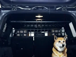 What did you do in your GX today?