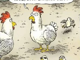 Good Clean Humor and Jokes