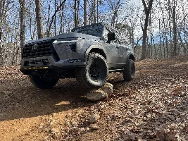 What did you do in your GX today?
