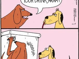 Good Clean Humor and Jokes