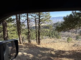 What did you do in your GX today?