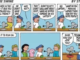 Good Clean Humor and Jokes
