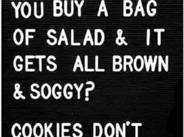 Good Clean Humor and Jokes