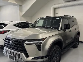 GX550 Atomic Silver Photos 💿