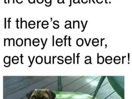 Good Clean Humor and Jokes
