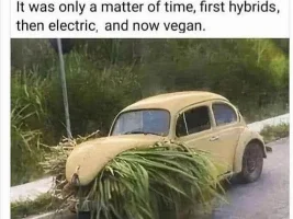 Good Clean Humor and Jokes