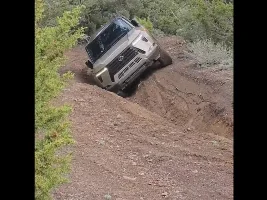 What did you do in your GX today?