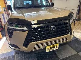 Gauging interest - Lexus Hood Bug Deflector from Australia