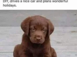 Good Clean Humor and Jokes