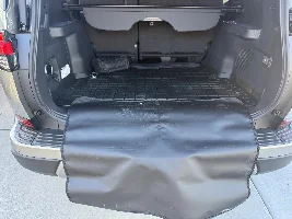 WeatherTech or Lexus waterproof cargo mat?