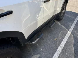VA (DC AREA): Predator steps
