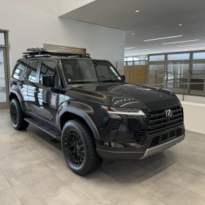 Vossens-GX550.jpg