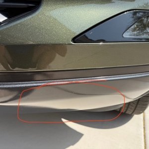 Bumper.jpg