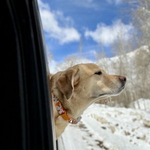 IMG_9930.jpeg