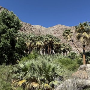 IMG_0237.jpeg