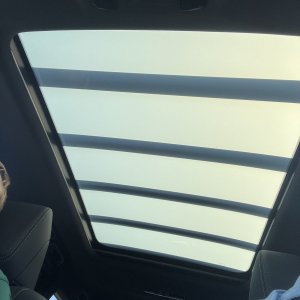 IMG_0311.jpeg
