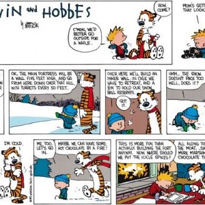 Calvin.jpg
