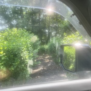 IMG_7043.jpeg