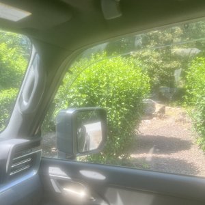 IMG_7042.jpeg