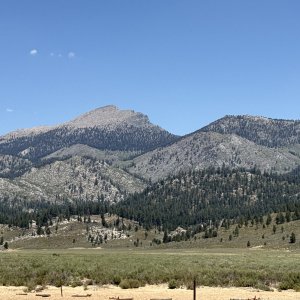 IMG_1634.jpeg