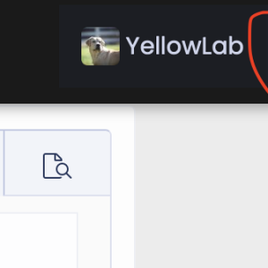 Screenshot 2025-07-30 at 8.06.08 AM.png