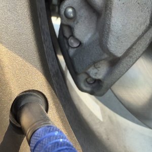 IMG_3764.jpeg