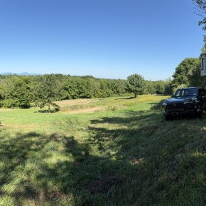 IMG_1559.jpeg