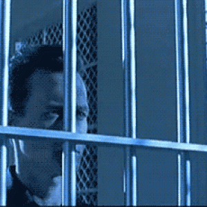 1Yv1.gif