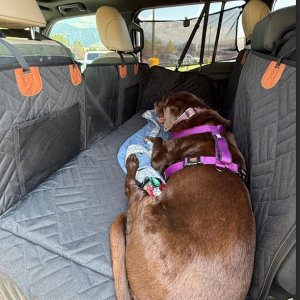Seat Cover.jpg