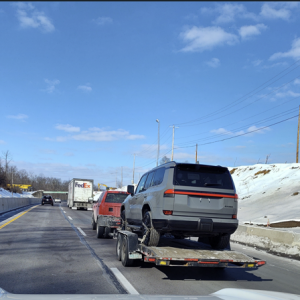 Nebula Gray Pearl being transported - Copy.png