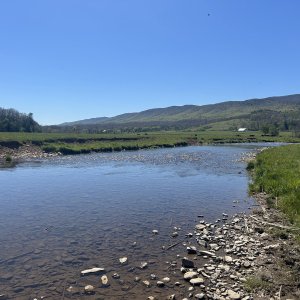 IMG_4739.jpeg