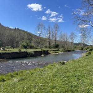 IMG_4728.jpeg