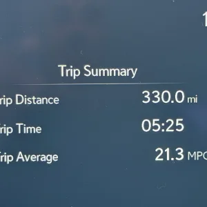 Road Trip.webp