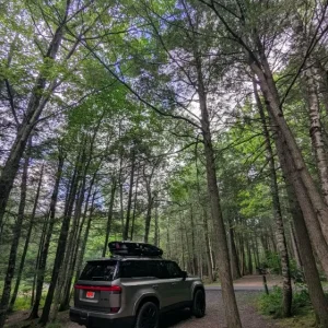 Camping GX.webp